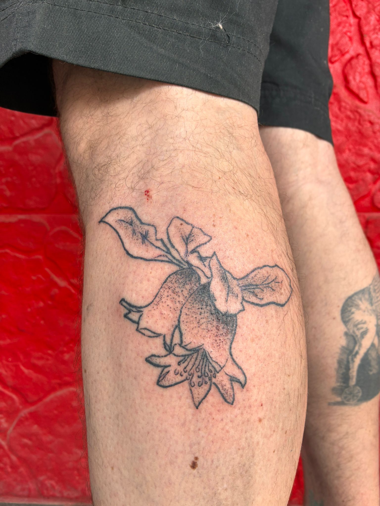 Tattoo Darrell · Granadas